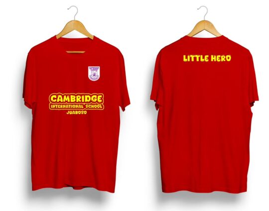 e229f0df-ba18-4ca9-b389-8df2ee779c7a